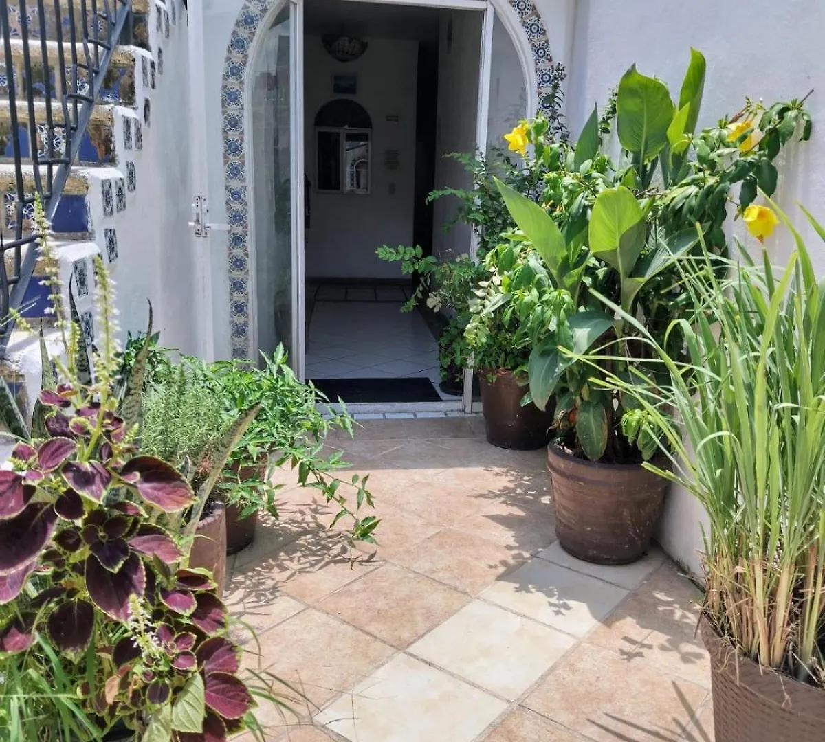 Alexandross Bed & Breakfast Puerto Vallarta